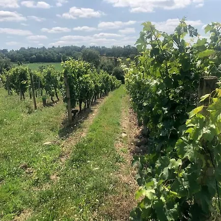 Au Temps Suspendu-les Rogeries Casa de Férias Moze-sur-Louet