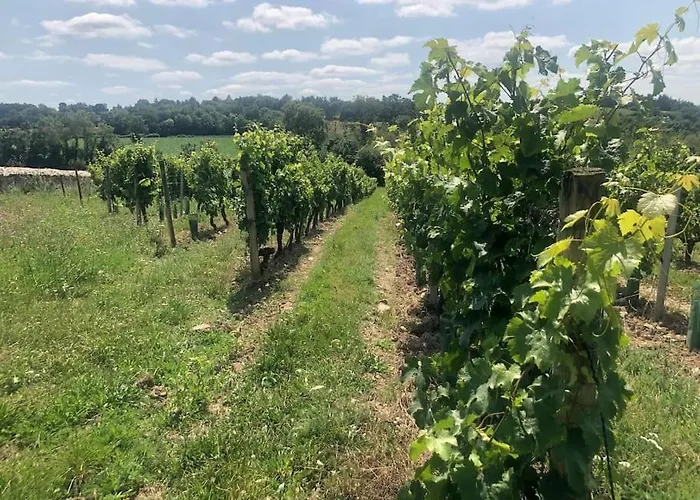 Au Temps Suspendu-les Rogeries Hébergement de vacances Moze-sur-Louet